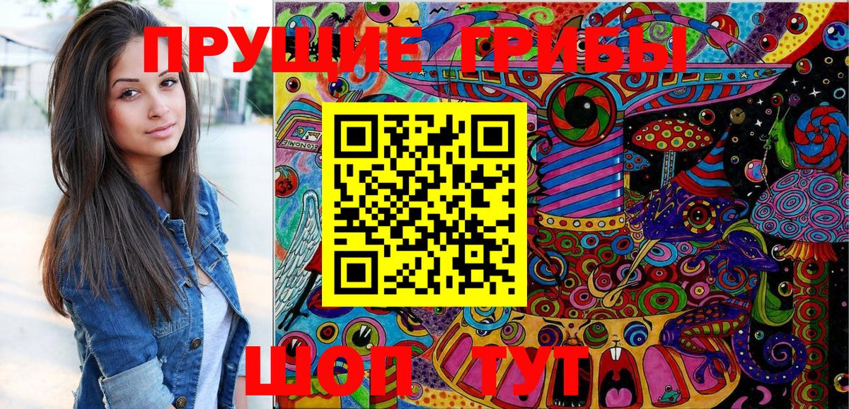 Жигулёвск  Галлюциногенные грибы Psilocybe  Вход с VPN 